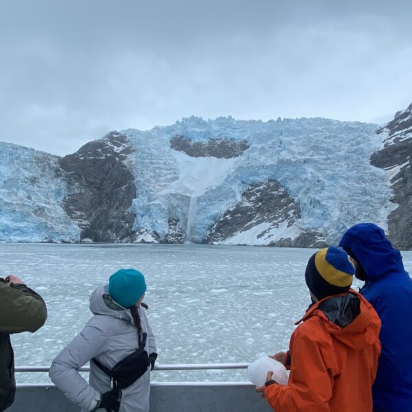 Kenai Fjords Tours 8 Hr Northwestern Fjord Tour Image