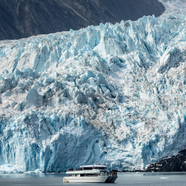 Kenai Fjords Tours 7 Hr National Park Tour Image
